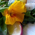 Salade composée au mesclun, pêches et fleurs de capucine