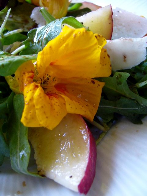 Salade composée au mesclun, pêches et fleurs de capucine : une entrée fraîche, originale et pleine de saveurs.