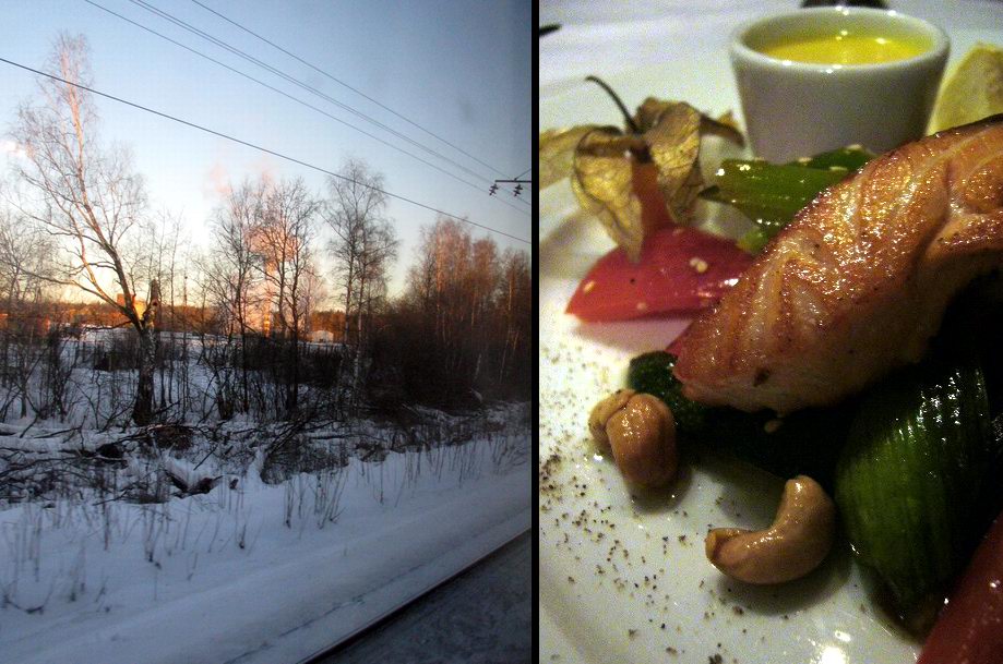 vue par la la fenêtre du train allant vers Iaroslavl. A droite, assiette de  saumon grillé avec des légumes