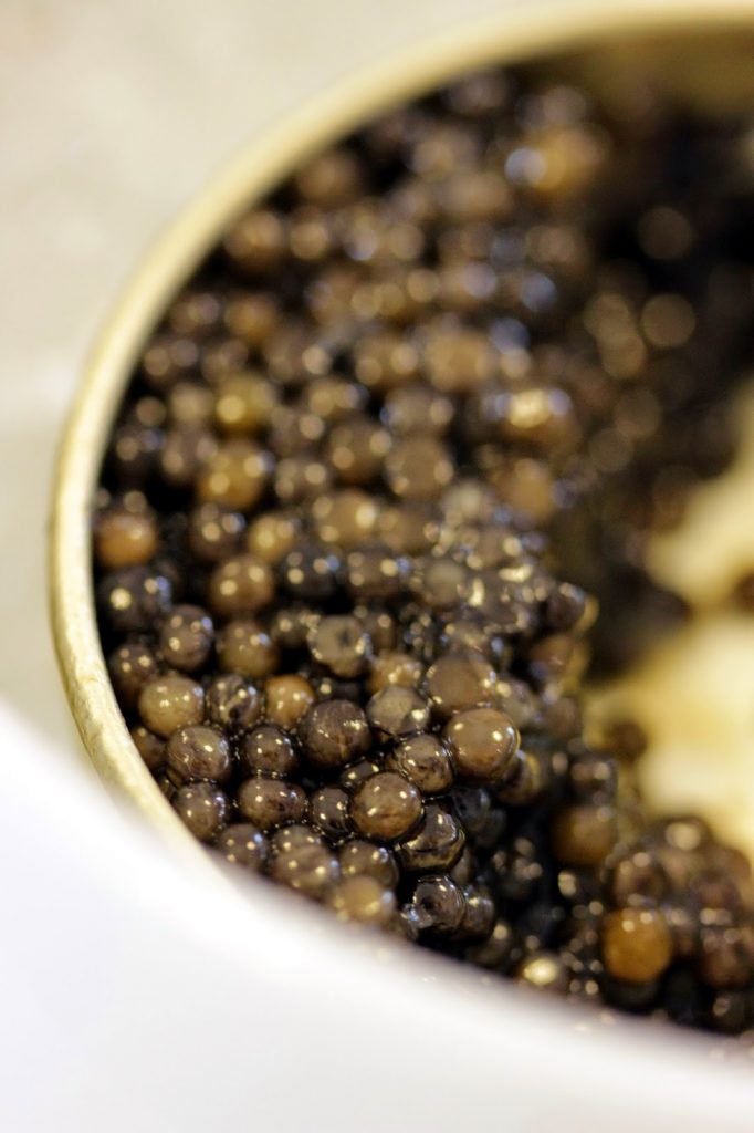 Détails de grains de caviar vintage de chez Sturia